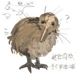  ? animal_focus bird chinese_commentary chinese_text commentary_request kiwi_(bird) no_humans original simple_background solo translation_request whiskers white_background zhanghemankong 