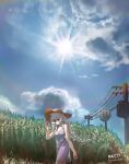  1girl absurdres arknights commentary_request dated dress feathered_wings feathers field gaoling_gangqin hat head_wings highres holding long_braid long_hair low-tied_long_hair mulberry_(arknights) outdoors power_lines sky solo sun sun_hat very_long_hair white_dress white_feathers white_hair white_wings wings 