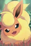  flareon grass highres looking_at_viewer no_humans open_mouth pokemon pokemon_(creature) red_fur rumine_(yoshi1234567) solo two-tone_fur yellow_fur 