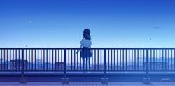  1girl amenomori_howa arms_at_sides black_hair black_skirt blue_sky clear_sky crescent_moon day facing_away floating_hair from_behind hair_ribbon highres imminent_suicide long_hair moon original outdoors pleated_skirt railing ribbon rooftop shadow shirt signature simple_bird skirt sky skyline solo white_ribbon white_shirt wide_shot 