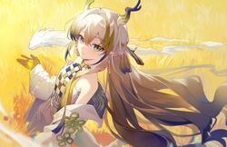  1girl arknights bare_shoulders blonde_hair brown_hair closed_mouth eastern_dragon_horns field fog gloves gradient_eyes gradient_hair hair_between_eyes hair_intakes highres horns jacket long_hair long_sleeves looking_at_viewer multicolored_eyes multicolored_hair off_shoulder open_clothes open_jacket outdoors pointy_ears shu_(arknights) smile solo streaked_hair upper_body very_long_hair white_jacket yellow_gloves yunweishukuang 