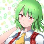 1girl ascot blush closed_mouth commentary_request floral_background green_hair hashiro_fumi kazami_yuuka looking_at_viewer red_eyes short_hair smile solo touhou upper_body yellow_ascot 