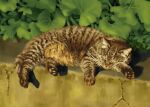  animal animal_focus cat closed_eyes closed_mouth commentary crack day full_body leaf no_humans original outdoors pawpads realistic sadajiro shadow sleeping solo tabby_cat 