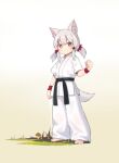  1girl absurdres animal_ear_fluff animal_ears arm_up barefoot belt black_belt bright_pupils chinese_commentary clenched_hand commentary_request dougi full_body grey_hair highres kuma-bound low_twintails martial_arts_belt medium_hair mushroom on_grass original pants solo standing tail toes twintails white_pants white_pupils yellow_eyes 
