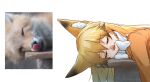  1girl animal_ears blonde_hair bow extra_ears ezo_red_fox_(kemono_friends) fox fox_ears hair_between_eyes highres jacket kemono_friends long_hair long_sleeves multicolored_hair photo-referenced photo_inset reference_inset rexeig sleeping solo tongue tongue_out 