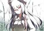  1girl bow closed_mouth collared_shirt fujiwara_no_mokou grey_hair hair_bow head_tilt highres long_hair long_sleeves looking_at_viewer qqqrinkappp red_bow red_eyes shirt smile solo suspenders touhou traditional_media two-tone_bow upper_body very_long_hair white_bow white_shirt 