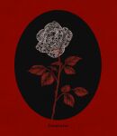  artist_name black_background border commentary english_commentary flower flower_focus fouatons highres lace leaf limited_palette no_humans original red_background rose round_border simple_background thorns two-tone_background white_flower white_rose 