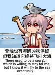  1girl animal_on_head bilingual bird bird_on_head blue_sky bow chibi closed_mouth clouds day eating english_commentary english_text engrish_commentary engrish_text food french_fries fujiwara_no_mokou hair_between_eyes hair_bow holding holding_food jokanhiyou mixed-language_text no_nose on_head outdoors pants pink_hair puffy_short_sleeves puffy_sleeves ranguage red_bow red_eyes red_pants seagull shirt short_sleeves sky suspenders touhou two-tone_bow white_bow white_shirt 