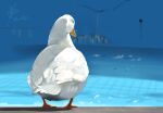  animal animal_focus bird black_eyes closed_mouth commentary_request duck facing_away full_body izumi_keika no_humans original outdoors pool realistic signature solo standing 
