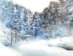  bare_tree dappled_sunlight day dead_plants forest highres nature no_humans original painting_(medium) pine_tree plant scenery shimizu_megumi_(m_acquerello) snow snowing sunlight traditional_media tree tree_shade watercolor_(medium) 