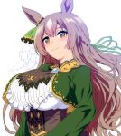  1girl animal_ears ascot black_ascot braid breasts brooch brown_eyes brown_hair closed_mouth commentary dress ear_ornament green_dress green_ribbon hair_ribbon highres horse_ears horse_girl jewelry large_breasts long_hair long_sleeves looking_at_viewer mamiyama ribbon satono_diamond_(umamusume) smile solo umamusume very_long_hair white_background 