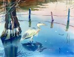  animal animal_focus bird blue_sky branch clouds cloudy_sky didi_daisukedoi fence_post highres no_humans original painting_(medium) pond reflection reflective_water rope_fence shallow_water sky traditional_media tree water watercolor_(medium) 