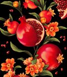  black_background cropped flower food fruit no_humans orange_flower original paid_reward_available plant pomegranate pomegranate_flower red_theme rii_abrego seed signature simple_background 