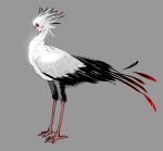  1other absurdres bird brown_eyes closed_mouth commentary_request feather_hair feathers full_body grey_background highres human_head metamon1996 original red_lips secretarybird short_hair simple_background smile solo standing white_feathers white_hair 