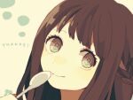  1girl braid brown_eyes brown_hair close-up closed_mouth collarbone eyelashes holding holding_spoon long_hair looking_at_viewer maco22 original ringed_eyes signature smile solo spoon thank_you 
