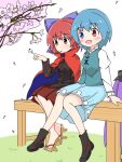  2girls aomiyabi_531 black_shirt blue_hair blue_skirt blue_vest bow bug butterfly butterfly_on_hand cherry_blossoms cloak commentary_request full_body hair_bow heterochromia long_sleeves multiple_girls open_mouth pleated_skirt purple_bow red_skirt redhead sekibanki shirt short_hair sitting skirt tatara_kogasa touhou vest white_shirt 