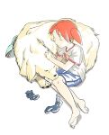  1girl azumanga_daioh barefoot black_socks blue_shorts book closed_eyes dog feet kozuehikaru lying mihama_chiyo on_side open_book redhead shirt short_twintails shorts simple_background sleeping socks tadakichi-san toes twintails unworn_socks white_background white_fur white_shirt 