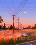  cable commentary english_commentary evening flower full_moon gradient_sky grass jubilee_(8pxl) moon no_humans original outdoors pixel_art puddle scenery sky sunset tree utility_pole water 