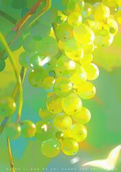  absurdres chinese_commentary commentary_request english_text food food_focus fruit grapes green_theme highres light no_humans object_focus original ou-popo plant realistic still_life vines watermark 
