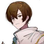  1boy brown_eyes brown_hair capelet chinese_commentary commentary_request gold_trim hair_between_eyes highres jabuchi_you lianjiu_qingjie male_focus portrait saibou_shinkyoku shirt short_hair simple_background solo white_background white_capelet white_shirt 