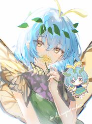  1girl absurdres antennae barefoot black_dress black_wings blue_hair braid breasts butterfly_wings chibi commentary_request covering_own_mouth dress eternity_larva flower flower_on_mouth green_dress hair_ornament highres insect_wings kissyoutenketsu leaf_hair_ornament looking_at_viewer short_hair short_sleeves simple_background single_braid small_breasts touhou upper_body white_background wings yellow_eyes yellow_flower yellow_wings 