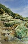  akemisuisai blue_sky building clouds cloudy_sky day farm field forest grass highres nature no_humans original painting_(medium) scenery sky traditional_media tree watercolor_(medium) 