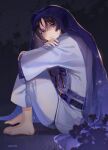  1boy barefoot black_hair blue_cloak blue_eyes cloak commentary crying from_side genshin_impact grass hashtag-only_commentary highres looking_at_viewer male_focus sakichka scaramouche_(genshin_impact) signature sitting solo streaming_tears tears 