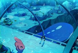  1boy air_bubble alomomola basculin bubble frillish frillish_(male) highres lucario mantine mantyke marine_tube nate_(pokemon) pokemon pokemon_(creature) pokemon_bw2 scenery seafloor selyg15 staryu underwater very_wide_shot wailord water 