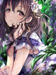  1girl blurry blush brown_hair depth_of_field dress earrings flower from_side fujiwara_hajime glint hair_between_eyes hair_flower hair_ornament hand_on_own_face hand_up head_rest highres idolmaster idolmaster_cinderella_girls idolmaster_cinderella_girls_starlight_stage jewelry leaf long_hair looking_at_viewer lying on_stomach parted_lips pink_flower purple_dress purple_flower redeye_(artist) scrunchie smile solo violet_eyes white_flower white_scrunchie wrist_scrunchie 