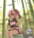  1girl bamboo dress green_eyes highres lan_(tower_of_fantasy) panda pink_hair tower_of_fantasy 