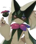  alternate_color animal animal_ears animal_focus closed_mouth english_text flower_trick_(pokemon) green_fur heterochromia highres hunter_suru meowscarada pokemon pokemon_(creature) red_eyes shiny_pokemon simple_background standing tail violet_eyes white_background 