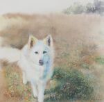  animal animal_focus blue_eyes dog grass highres looking_at_viewer no_humans original painting_(medium) traditional_media watercolor_(medium) yu_grassbird 