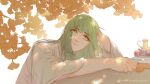  1other androgynous autumn_leaves dated dog2333 enkidu_(fate) fate/grand_order fate_(series) food fruit grapes green_eyes green_hair hand_on_own_head highres holding holding_leaf leaf long_hair parted_lips robe solo teapot white_background white_robe 