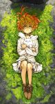  1girl ahoge artist_name brown_footwear clenched_hand crossed_arms dot_nose dress_shirt emma_(yakusoku_no_neverland) findoworld full_body gradient_hair grass green_eyes highres hugging_object knees_up lone_nape_hair long_sleeves looking_up lying multicolored_hair neck_tattoo ominous_shadow on_back on_grass orange_hair parted_lips pleated_skirt shadow shirt shoelaces shoes skirt solo stuffed_animal stuffed_rabbit stuffed_toy tattoo white_shirt white_skirt yakusoku_no_neverland 