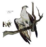  absurdres animal_focus art_study bird branch color_guide crrn english_commentary fish full_body highres no_humans original osprey reference_inset simple_background solid_eyes white_background 