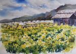  akemisuisai blue_sky building clouds cloudy_sky dirt_road farm field flower flower_field greenhouse hill no_humans original painting_(medium) road shed sky traditional_media watercolor_(medium) yellow_flower 