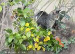  animal artist_name branch cat leaf looking_to_the_side no_humans original plant realistic rie_matsue still_life weeds 