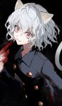  1girl animal_ears black_background blood blood_on_hands cat_ears cat_tail fingernails hair_between_eyes hou_(ppo) hunter_x_hunter looking_at_viewer parted_lips sharp_fingernails short_hair sidelocks signature smile tail upper_body white_hair yellow_eyes 