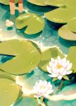  1other barefoot bird duck highres jauni_(tofublock) lily_pad liquid original out_of_frame partially_submerged pond solo sparkle wading water water_drop water_lily_flower wide_shot yellow_bird 