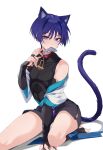  1boy absurdres animal_ears black_shirt black_shorts black_sleeves blue_eyes cat_boy cat_ears cat_tail chobonu fish fish_(food) genshin_impact hair_between_eyes highres japanese_clothes looking_at_viewer male_focus mouth_hold purple_hair purple_tail scaramouche_(genshin_impact) shirt short_hair shorts solo tail wanderer_(genshin_impact) white_background 