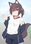  1girl absurdres animal_ear_fluff animal_ears black_jacket black_shorts blue_sky breasts brown_hair clouds commentary_request day fox_ears fox_girl fox_tail grin gym_shirt gym_shorts gym_uniform hair_between_eyes hair_ornament hairclip hands_up highres hinata_(user_rjkt4745) jacket long_sleeves looking_at_viewer off_shoulder open_clothes open_jacket original outdoors ponytail puffy_long_sleeves puffy_sleeves shirt shorts sky sleeves_past_wrists small_breasts smile solo tail violet_eyes white_shirt 