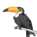  animal_focus beak bird blue_eyes branch chinese_commentary commentary_request light_blush no_humans original simple_background solo toucan white_background zhanghemankong 