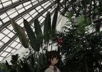  1girl absurdres black_eyes black_hair blouse branch collared_shirt expressionless fern greenhouse highres jitome leaf nature original parted_lips scenery shirt solo uniunimikan upper_body white_shirt 