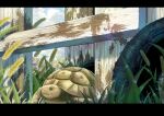  absurdres animal animal_focus day fence grass highres no_humans original outdoors sumassha_t_t tire tortoise turtle wooden_fence 