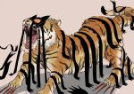  alternate_species blood blood_on_face claws colored_sclera constricted_pupils dream_tiger_(govy9807) fang ndyoussi no_humans open_mouth orange_fur original sharp_teeth teeth tiger tiger_stripes yellow_sclera 