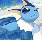  :3 blue_eyes blue_fur blue_tail blurry blurry_background body_fur fins fisheye head_fins nagasaki_wonderful no_humans outdoors pokemon pokemon_(creature) pool sly solo tree vaporeon 
