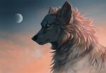  animal commentary english_commentary full_moon moon morning no_humans orange_sky original profile sky solo star_(sky) wolf wolfroad 