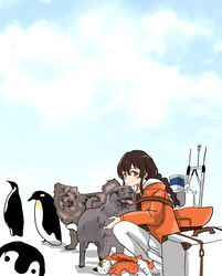  1girl bird blue_sky braid brown_hair clouds dog hair_between_eyes highres jacket kantai_collection long_hair long_sleeves looking_at_viewer machinery orange_eyes orange_jacket pantyhose penguin pleated_skirt popopopopopopo single_braid skirt sky souya_(kancolle) souya_agb_(kancolle) squatting white_pantyhose white_skirt 