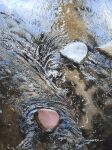  day highres moss no_humans original painting_(medium) photorealistic pond realistic rock shadow shallow_water sunlight traditional_media watanabe_masato water watercolor_(medium) 