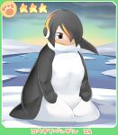  1girl alternate_costume animal_costume black_eyes black_hair card_(medium) closed_mouth clouds commentary_request emperor_penguin_(kemono_friends) expressionless full_body green_sky hair_between_eyes hair_over_one_eye headphones highres ice_floe kemono_friends lets0020 long_bangs looking_afar multicolored_hair numbered ocean orange_hair outdoors penguin_costume seiza short_hair sitting sky solo star_(symbol) streaked_hair water 